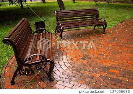 Empty Benches in City Park After Rain 137656686