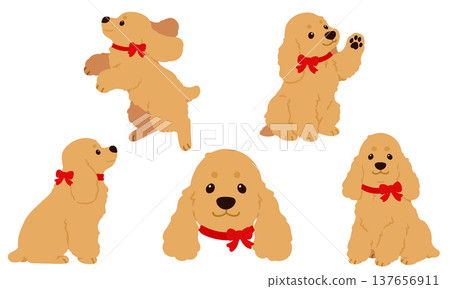一組簡單可愛的英國可卡犬插圖（繫著紅色絲帶）——沒有輪廓線。 137656911