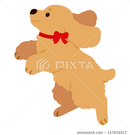 一幅可愛的英國可卡犬跳躍插圖（繫著紅色絲帶）。無輪廓線。 137656917