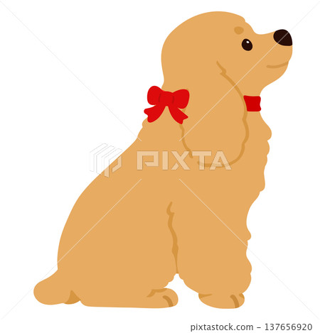 A simple and cute illustration of an English Cocker Spaniel sitting sideways, with a red ribbon and no outline. A simple and cute illustration of an English Cocker Spaniel sitting sideways, with a red ribbon and no outline. 137656920