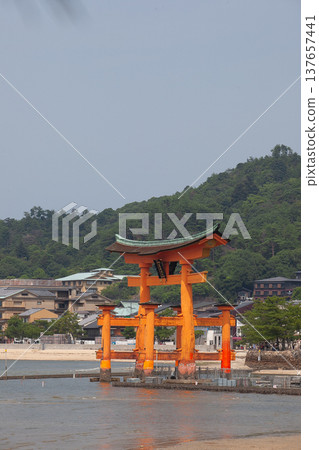 在嚴島神社的鳥取 137657441
