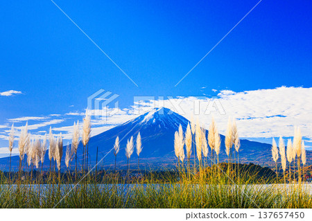 [山梨縣_富士山_河口湖]秋天的河口湖和富士山11月 137657450