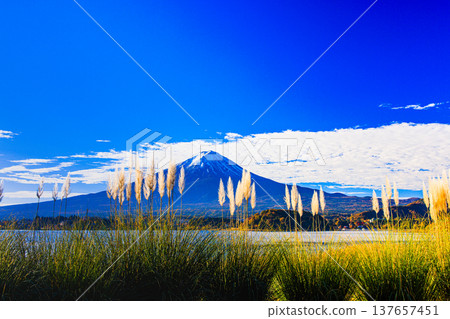 [Yamanashi Prefecture_Mt. Fuji_Lake Kawaguchi] Autumn in Lake Kawaguchi and Mt. Fuji in November 137657451