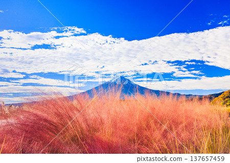 [Yamanashi Prefecture_Mt. Fuji_Lake Kawaguchi] Autumn in Lake Kawaguchi and Mt. Fuji in November 137657459
