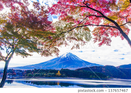 [山梨縣_富士山_河口湖]秋天的河口湖和富士山11月 137657467