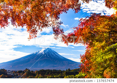 [Yamanashi Prefecture_Mt. Fuji_Lake Kawaguchi] Autumn in Lake Kawaguchi and Mt. Fuji in November 137657474