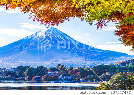 [Yamanashi Prefecture_Mt. Fuji_Lake Kawaguchi] Autumn in Lake Kawaguchi and Mt. Fuji in November 137657477