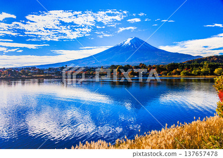 [Yamanashi Prefecture_Mt. Fuji_Lake Kawaguchi] Autumn in Lake Kawaguchi and Mt. Fuji in November 137657478