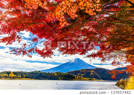 [Yamanashi Prefecture_Mt. Fuji_Lake Kawaguchi] Autumn in Lake Kawaguchi and Mt. Fuji in November 137657482