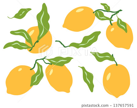 Summer lemons vector illustration set. Fresh yellow citrus fruits, green leaves, branches isolated on white background for food and Italian inspired design in simple, playful and whimsical flat style 137657591