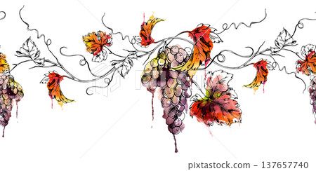 Seamless banner botanical illustration of grape clusters hanging on vines, leaves and tendrils. Hand drawn in watercolor and ink for culinary design, fruit labels, menus, premium market blog headers Seamless banner botanical illustration of grape clusters hanging on vines, leaves and tendrils. Hand drawn in watercolor and ink for culinary design, fruit labels, menus, premium market blog headers 137657740