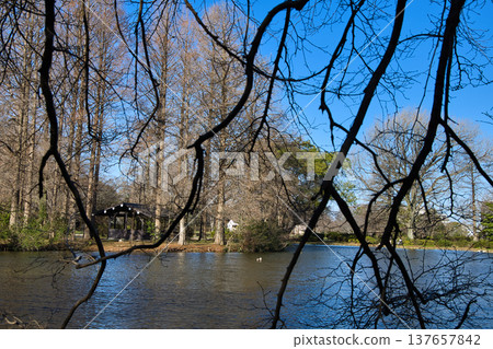 有池塘的公園 有池塘的公園 137657842