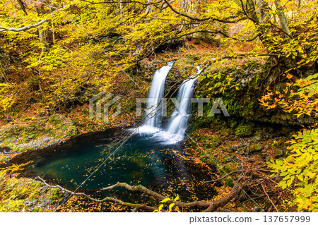 【山梨縣富士吉田市】十一月,金山瀑布和桂川被秋色籠罩。 【山梨縣富士吉田市】十一月,金山瀑布和桂川被秋色籠罩。 137657999