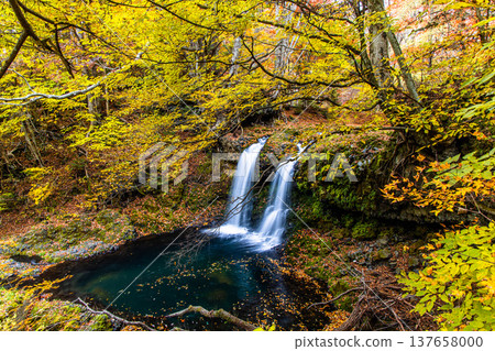 [Yamanashi Prefecture, Fujiyoshida City] Kaneyama Falls and Katsura River enveloped in autumn colors, November 137658000