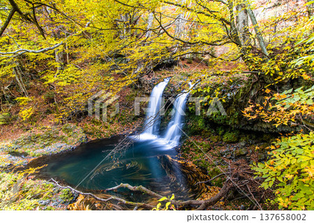 [Yamanashi Prefecture, Fujiyoshida City] Kaneyama Falls and Katsura River enveloped in autumn colors, November 137658002