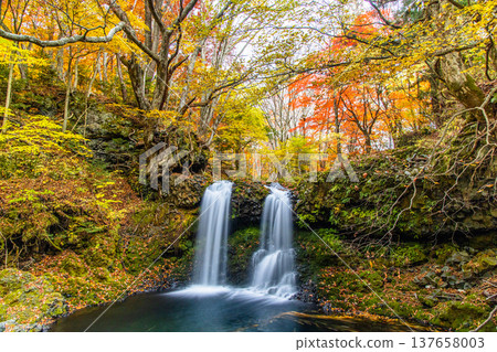 [Yamanashi Prefecture, Fujiyoshida City] Kaneyama Falls and Katsura River enveloped in autumn colors, November 137658003
