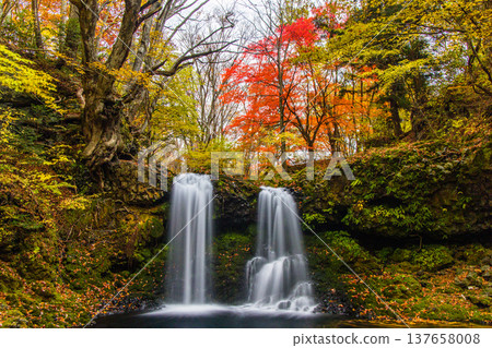 [Yamanashi Prefecture, Fujiyoshida City] Kaneyama Falls and Katsura River enveloped in autumn colors, November 137658008