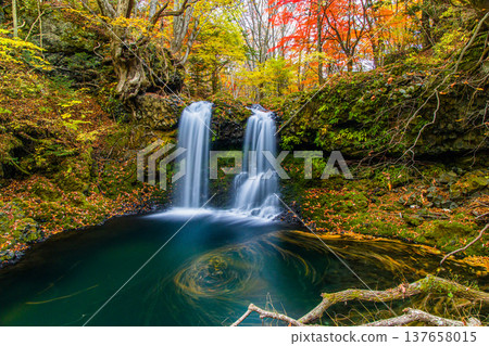 [Yamanashi Prefecture, Fujiyoshida City] Kaneyama Falls and Katsura River enveloped in autumn colors, November 137658015