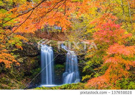 [Yamanashi Prefecture, Fujiyoshida City] Kaneyama Falls and Katsura River enveloped in autumn colors, November 137658028