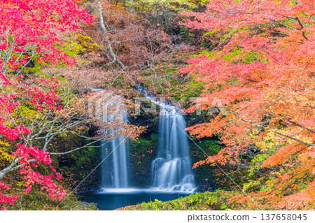 【山梨縣富士吉田市】十一月,金山瀑布和桂川被秋色籠罩。 【山梨縣富士吉田市】十一月,金山瀑布和桂川被秋色籠罩。 137658045