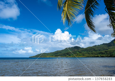 Coastline and Mountains on Tahaa Island, French Polynesia 137658283