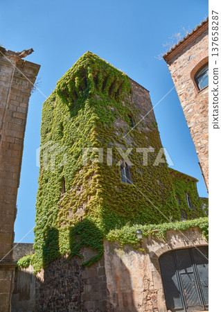 Sande Tower, an old medieval house covered in ivy in Caceres, Spain 137658287