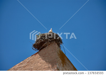 Majestic white stork nest atop an old building in Pedraza 137658593