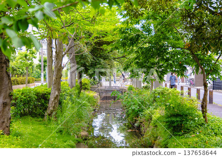 龜有站週邊 137658644