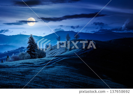 countryside landscape in mountains at night. full moon over rural picture of wooden fence near dirt road through grassy fields on rolling hills. mysterious scenery with distant ridge during springtime 137658692