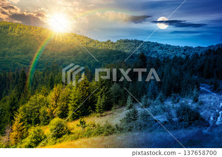 coniferous forest on the steep hillside meadow in summer. day and night time change concept. mountain landscape with sun and moon. epic nature scenery. fir trees near pasture. astrology wallpaper 137658700