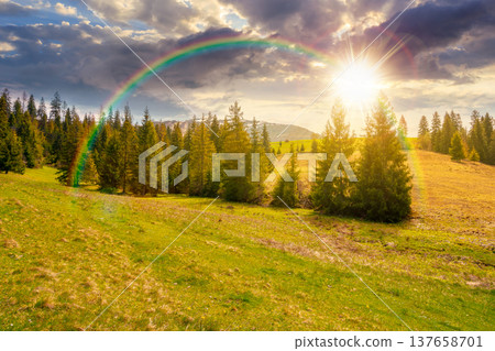 sunset over mountain scenery with coniferous forest. countryside landscape with grassy fields and rolling hills. springtime rural area under cloudy sky and rainbow. wonderful outdoor adventure 137658701
