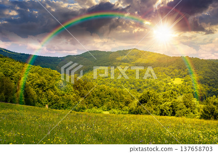 sunset over grassy fields with blooming flower herbs in mountain scenery. beautiful summer landscape of with forested hills under sky with clouds. alpine countryside picture under the rainbow 137658703