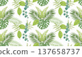 Tropical leaf botanical pattern background 137658737