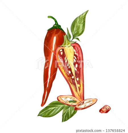Red chili pepper, half a pepper with seeds, leaves, and cloves. All hand-painted in watercolor. Perfect for culinary design, menu design, and as a label template for organic products. Red chili pepper, half a pepper with seeds, leaves, and cloves. All hand-painted in watercolor. Perfect for culinary design, menu design, and as a label template for organic products. 137658824