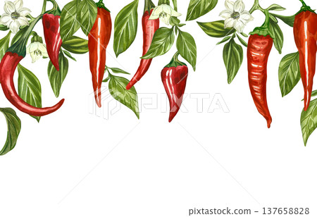 A watercolor banner with peppers, hanging chili pods, jalapenos, cayenne peppers, green leaves, and flowers. All hand-painted in watercolor. Ideal for kitchen decor, culinary menus, and food design. 137658828
