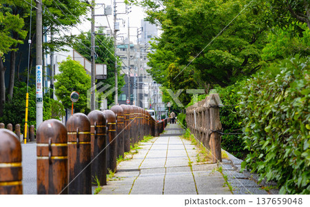 Kameari Station area 137659048