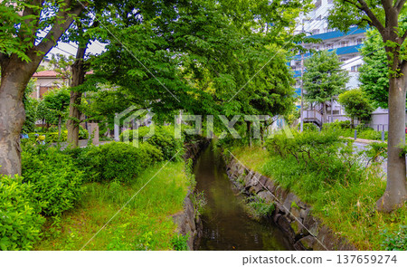 Kameari Station area 137659274