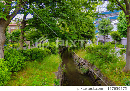 Kameari Station area Kameari Station area 137659275