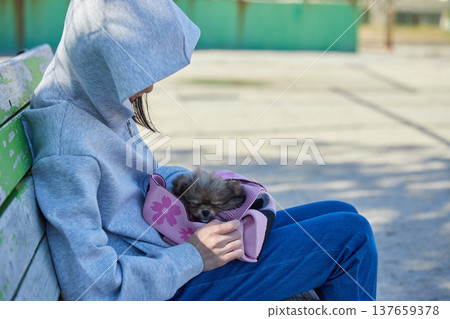 A teenage girl playing with a cute Pomeranian puppy in a park on a sunny spring day. 137659378