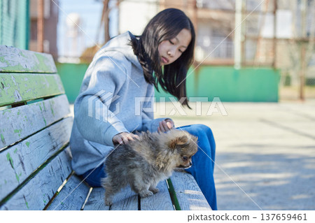在一個陽光明媚的春日,一位少女在公園裡和一隻可愛的博美幼犬玩耍。 在一個陽光明媚的春日,一位少女在公園裡和一隻可愛的博美幼犬玩耍。 137659461