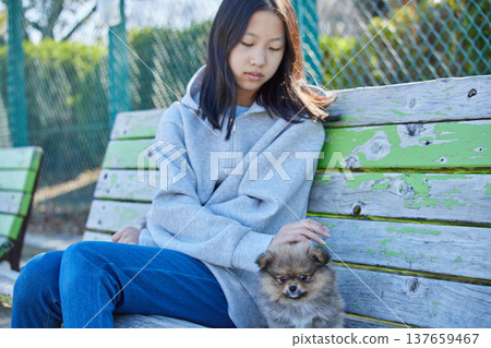 A teenage girl playing with a cute Pomeranian puppy in a park on a sunny spring day. 137659467