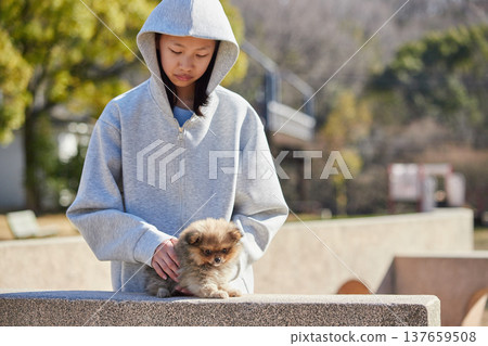 A teenage girl playing with a cute Pomeranian puppy in a park on a sunny spring day. A teenage girl playing with a cute Pomeranian puppy in a park on a sunny spring day. 137659508