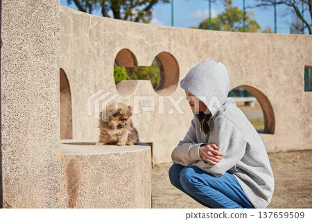 在一個陽光明媚的春日，一位少女在公園裡和一隻可愛的博美幼犬玩耍。 137659509