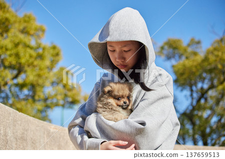 在一個陽光明媚的春日，一位少女在公園裡和一隻可愛的博美幼犬玩耍。 137659513