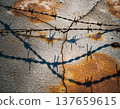 Rusty barbed wire casts shadows on cracked concrete with earthy tones in an industrial setting during daylight hours near an old facility 137659615