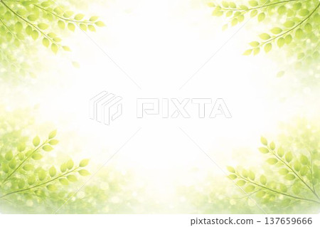Refreshing fresh green background material 137659666