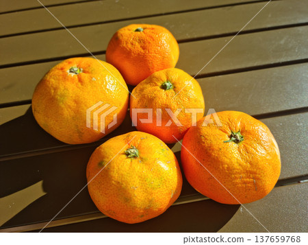 tangerine	 137659768