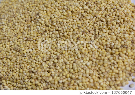 Close up of millet rice. Close up of millet rice. 137660047
