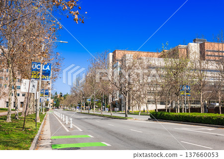 UCLA Westwood Plaza, USA 137660053