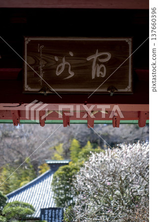 鎌倉2535、高德寺7、梅花 鎌倉2535、高德寺7、梅花 137660396